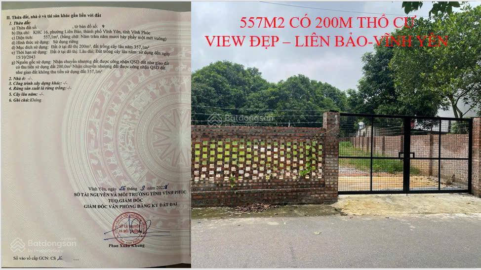Siêu phẩm đất nền 557m vị trí vàng tại liên bảo, vĩnh yên giá chỉ 8,1 tỷ