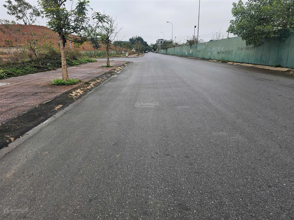 Bán biệt thư siêu vip kđt nam vĩnh yên, 348m2, đường 21m view siêu thị go! giá chỉ 27.5tr/m2