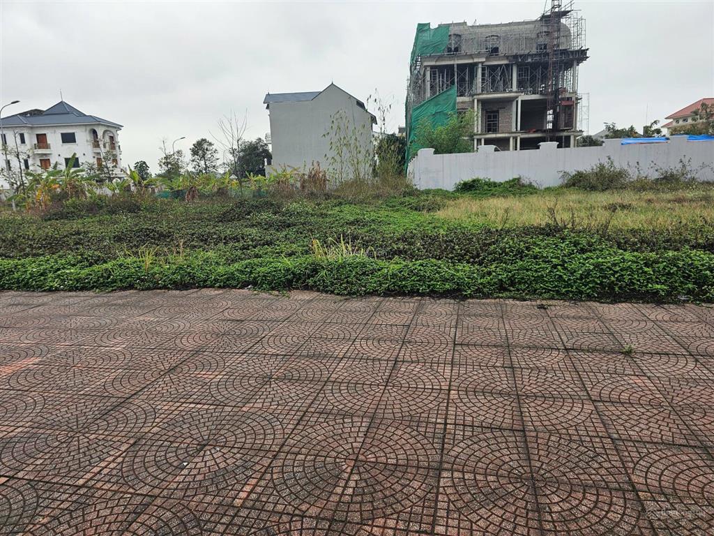 Bán biệt thư siêu vip kđt nam vĩnh yên, 348m2, đường 21m view siêu thị go! giá chỉ 27.5tr/m2