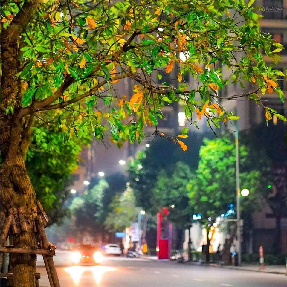 Căn 2pn 74m2 chỉ 4.5 tỷ giá tốt đáng đầu tư tại khu compound cao cấp masteri centre point q. 9