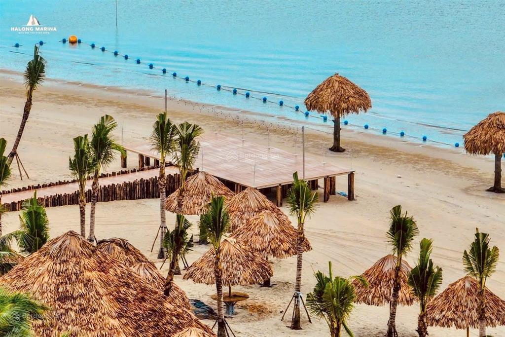 Bán căn 2pn m3x01 aria bay hạ long đông nam tầng cao duy nhất còn lại trên thị trường 0762 886 ***