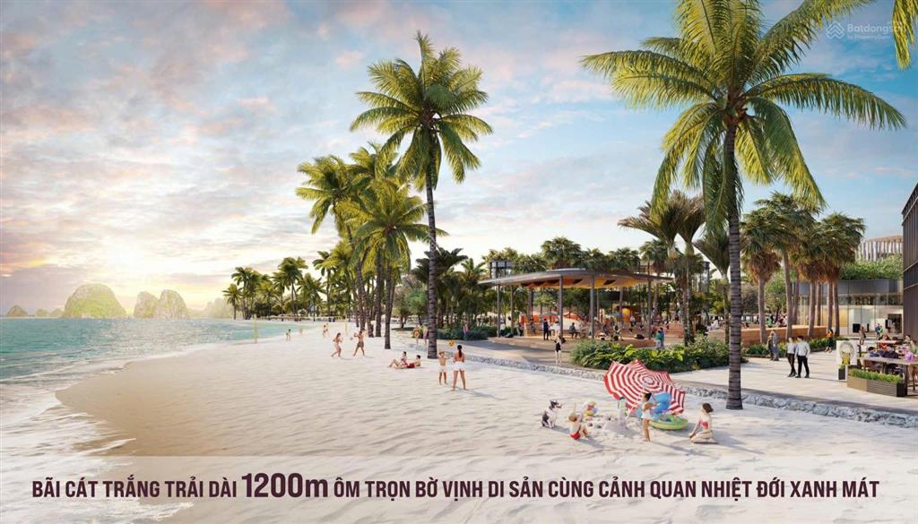 Bán căn 2pn m3x01 aria bay hạ long đông nam tầng cao duy nhất còn lại trên thị trường 0762 886 ***