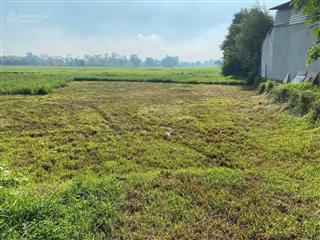 Đất mặt tiền tl15  củ chi. ngang 43*100m. vị trí giao thương với tây ninh  bình dương