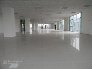 Phú minh group cho thuê văn phòng 310m lô góc trần thái tông dịch vọng hậu cầu giấy
