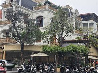 Biệt thự hàng bún 500m², mt 12m, sân vườn, phù hợp mọi mô hình, nhà hàng tây, cafe, văn phòng, bar