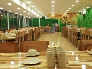 Cho thuê nhà hàng, showroom, ngân hàng, spa ở trần xuân soạn, 500m2.5t, mt10m, 400tr,hai bà trưng