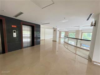 Trực tiếp chủ đầu tư cho thuê văn phòng tòa building phố trần thái tông giá siêu ưu đãi cho khách