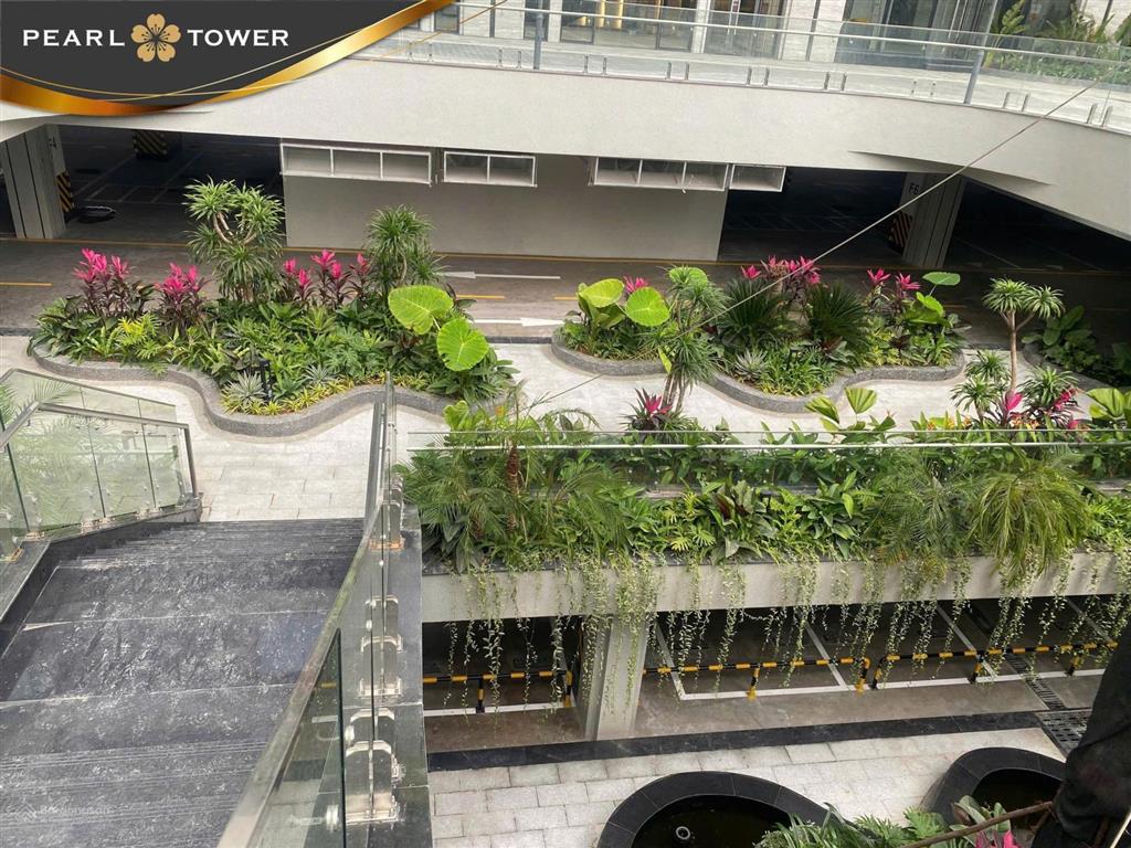 Trực tiếp chủ đầu tư cho thuê pearl tower, tổ hợp mỹ đình pearl điểm đến mới cho các doanh nghiệp