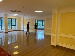 Cho thuê cả tòa làm văn phòng nguyễn chánh, cầu giấy 80,160m2,200,300,500m2 giá 120k/m2/th