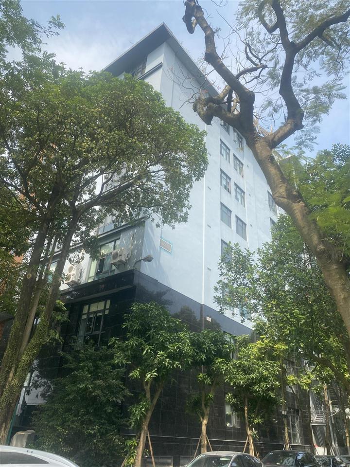 Cho thuê văn phòng toà nhà mường thanh bán đảo linh đàm 200m2, giá 150 nghìn/m2/th