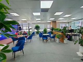 Cho thuê vp tòa star tower phố dương đình nghệ, cầu giấy quanh 100m2 giá 200k/m2/th