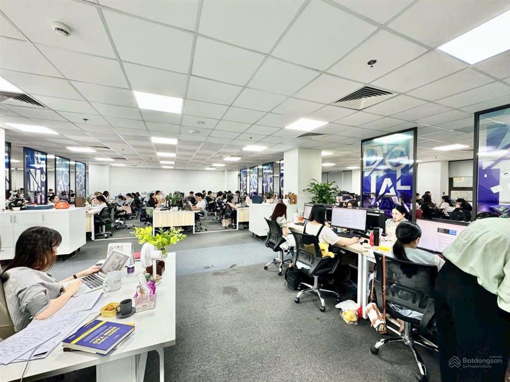 Cho thuê vp tòa nhà techcombank số 6 quang trung hoàn kiếm 80m2, 130m2, 220m2, 300m2, 2000m2