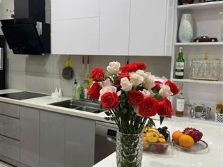 Bán chung cư vimeco nguyễn chánh, cầu giấy. dt 96m, 2 và 3 pn, nội thất đầy đủ. giá 9,4 tỷ