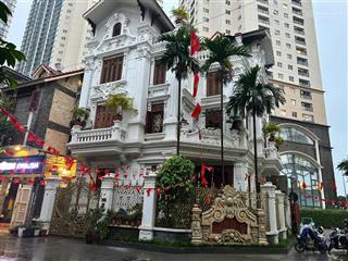 Bán 4 căn biệt thự trung văn hancic tố hữu  nam từ liêm, mặt phố kd, dt 120152m2 giá chỉ từ 39 tỷ