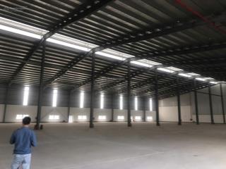 Cho thuê kho xưởng tiêu chuẩn ql1a, thường tín 5500m2