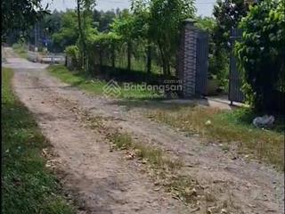 Chuyển nhượng 3561m2 đất cây lâu năm đường hùng vương phước an đồng nai