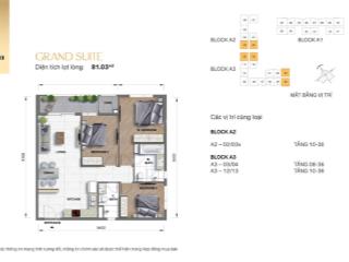 Bán nhanh căn hộ 3pn 2wc dự án grand manhattan quận 1. giá tốt nhất đơn giá chỉ 158tr/m2