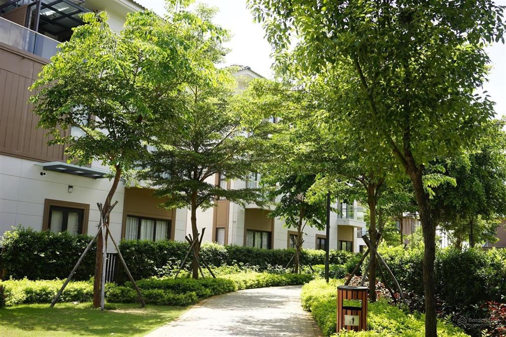 Bán shophouse swanbay oasia (l34) vị trí đẹp view phố đi bộ rất đẹp và thoáng, giá cạnh tranh dự án