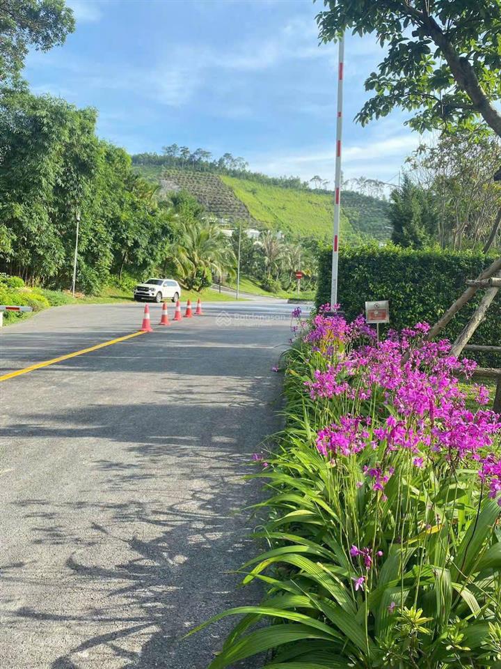 Bán nhanh suất ngoại giao dự án thanh xuân valley vĩnh phúc hồ đại lải, dt 81m, 100m, 198m, 550m