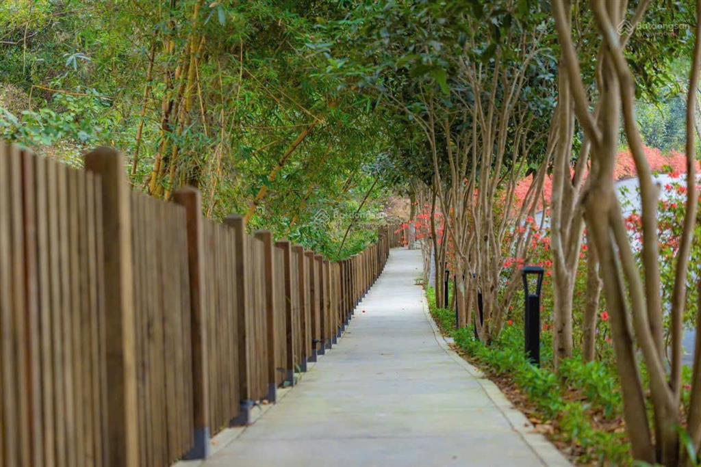 Bán nhanh suất ngoại giao dự án thanh xuân valley vĩnh phúc hồ đại lải, dt 81m, 100m, 198m, 550m