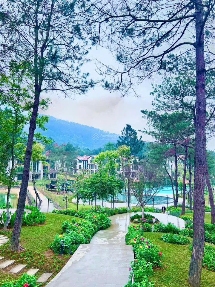 Bán nhanh suất ngoại giao dự án thanh xuân valley vĩnh phúc hồ đại lải, dt 81m, 100m, 198m, 550m