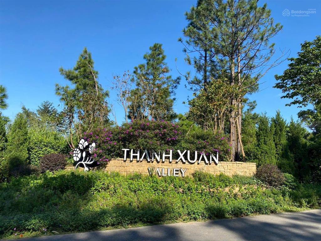 Bán nhanh suất ngoại giao dự án thanh xuân valley vĩnh phúc hồ đại lải, dt 81m, 100m, 198m, 550m