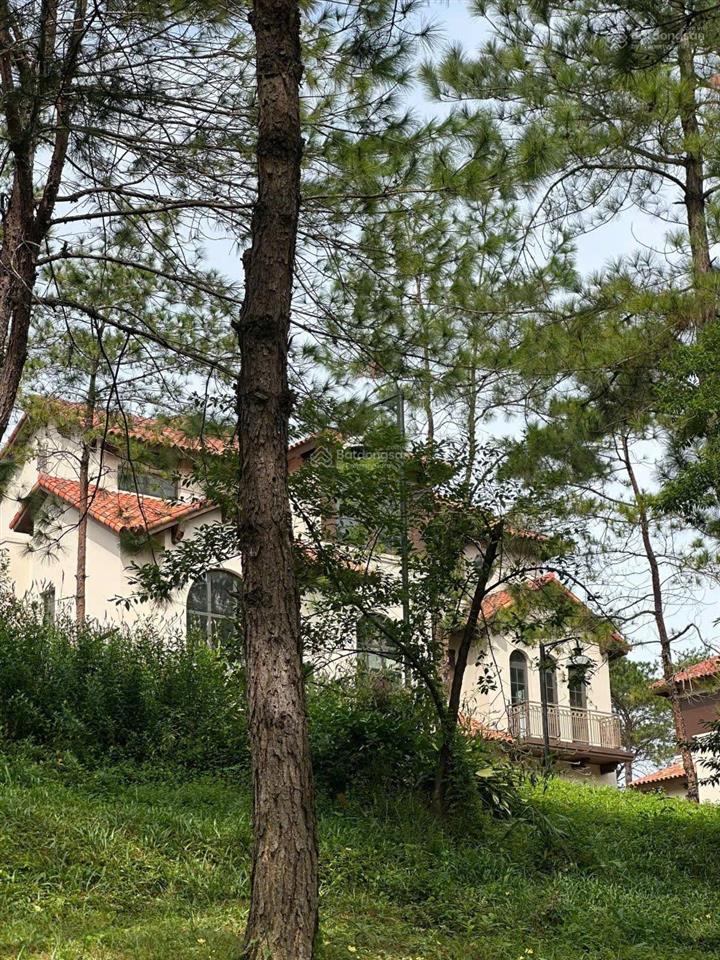 Bán nhanh suất ngoại giao dự án thanh xuân valley vĩnh phúc hồ đại lải, dt 81m, 100m, 198m, 550m