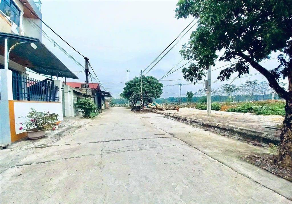 Bán đất đấu giá dt 60m2 khu c đồng bụt, cạnh viện nhi sản và bảo tàng thiên nhiên, sẵn sổ đỏ