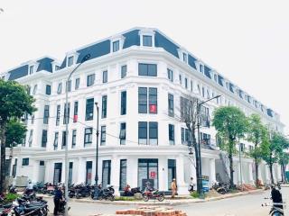 Chính chủ bán biệt thự louis city hoàng mai  đẹp hiếm, hướng đông đón nắng sớm