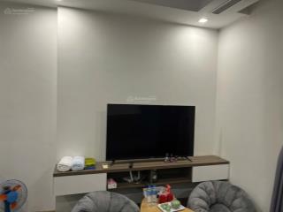 Chính chủ cho thuê căn studio 31 m2 full đồ ban công hướng nam giá hợp lý