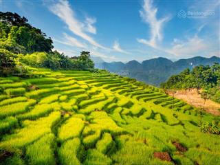 Bán siêu phẩm đất nghỉ dưỡng ngay trung tâm khu du lịch của xã pù luông thanh hoá view tuyệt đẹp.