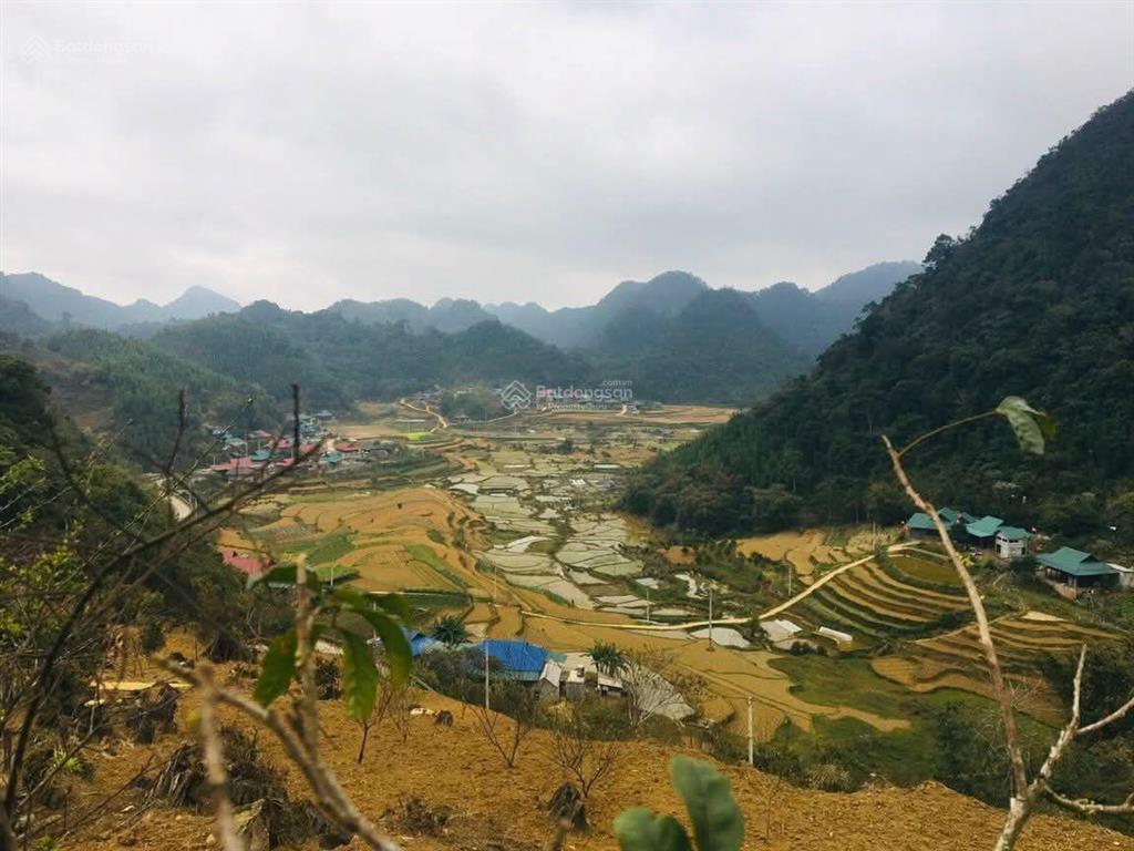 Bán đất tại son bá mười cổ lũng pù luông thanh hoá sapa thứ ii của tỉnh thanh hoá .
