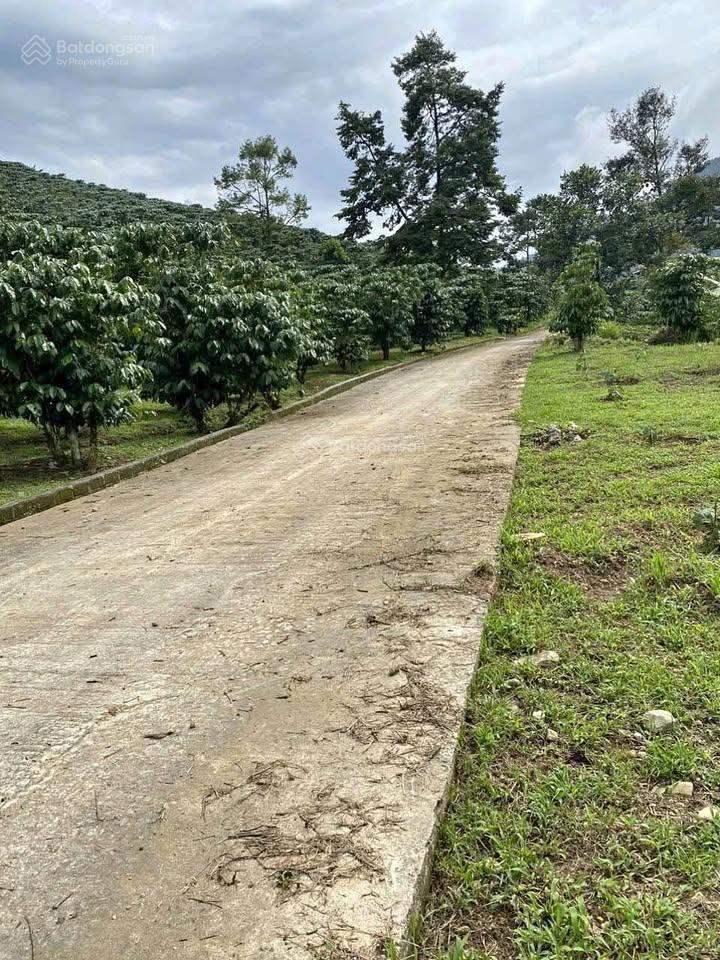 Bán nhà vườn chính chủ, bán nhà vườn nghỉ dưỡng tại đồng nai, bán nhà vườn nghỉ dưỡng, bán đất vườn