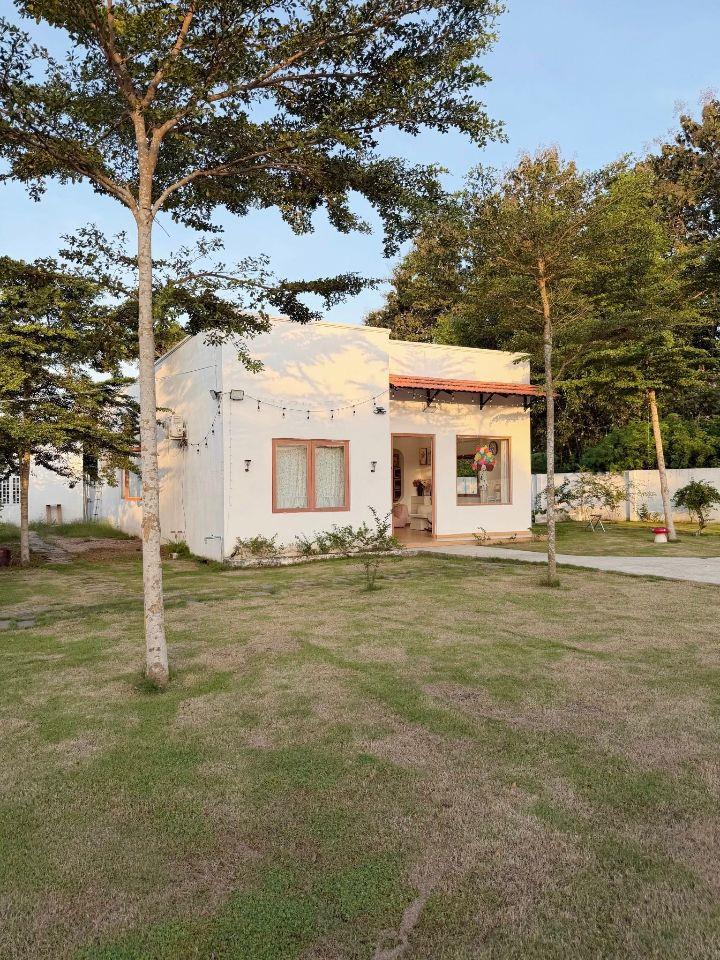 mua bán đất làm kho xưởng trảng bàng đường nhựa hương lộ 2 chính chủ bán