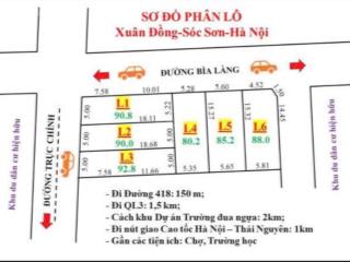 Em cần bán lô đất đc tại xuân đồng, tân minh, sóc sơn, hà nội, dt 80.2m2 full tc