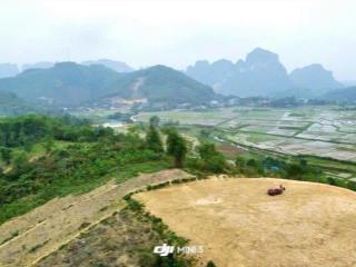 Bỏ phố về rừng!!! cằn bán 9224m có 400m thổ cư tại lương sơn  hoà bình. siêu đẹp.