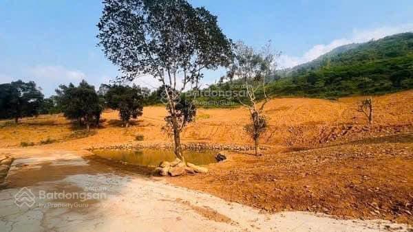 Cần bán 4.4ha đất thổ cư làm nghỉ dưỡng rất đẹp, view cao thoáng, giá hấp dẫn