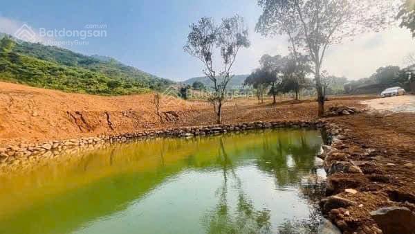 Cần bán 4.4ha đất thổ cư làm nghỉ dưỡng rất đẹp, view cao thoáng, giá hấp dẫn