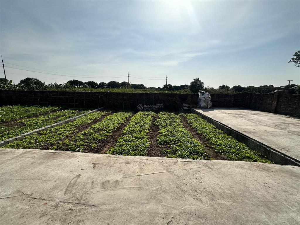 Chính chủ cần bán đất tân dân, khoái châu, hưng yên 105m2, mặt tiền 7.4m giá 1.55 tỷ. lô góc, ô tô