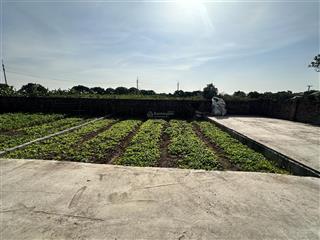 Chính chủ cần bán đất tân dân, khoái châu, hưng yên 105m, mặt tiền 7.4m giá 1.55 tỷ. lô góc, ô tô