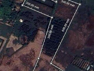 Bán đất mặt tiền nguyễn thị lè  xã trung an, củ chi,diện tích 16.000m² (1,6ha),mặt tiền đường