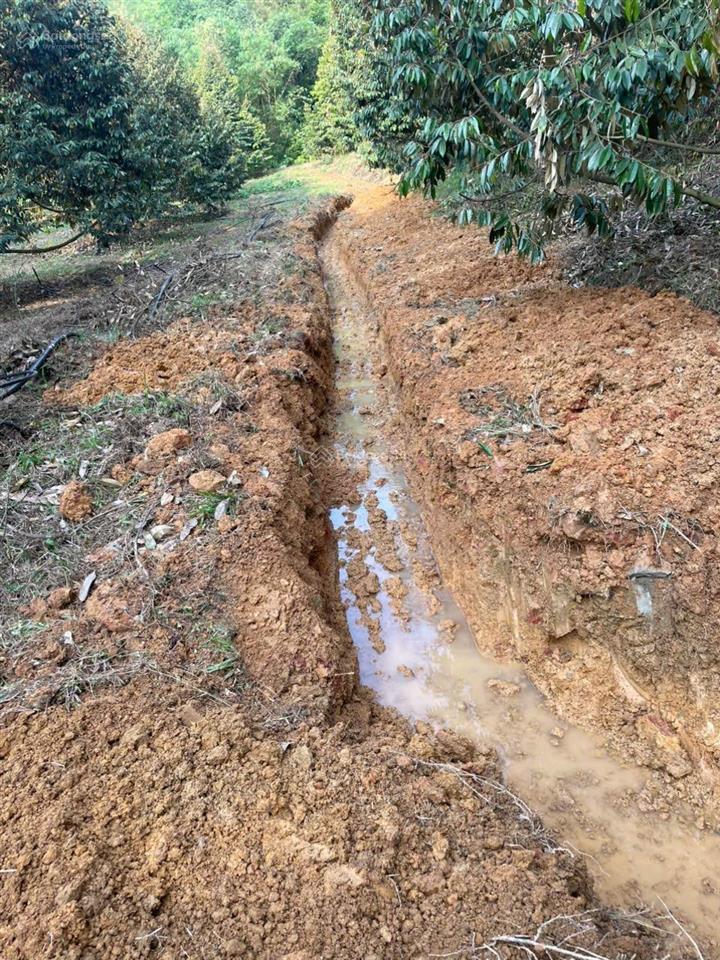 Bán đất tại đt 721, đạ kho, đạ tẻh, lâm đồng, 4 tỷ, 33000m2