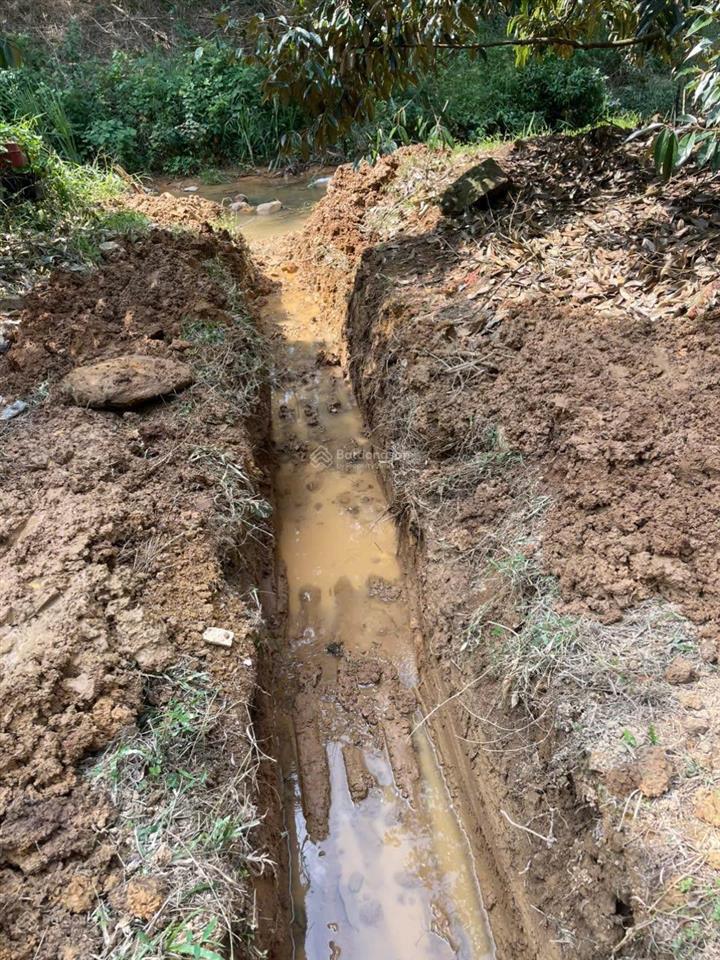 Bán đất tại đt 721, đạ kho, đạ tẻh, lâm đồng, 4 tỷ, 33000m2