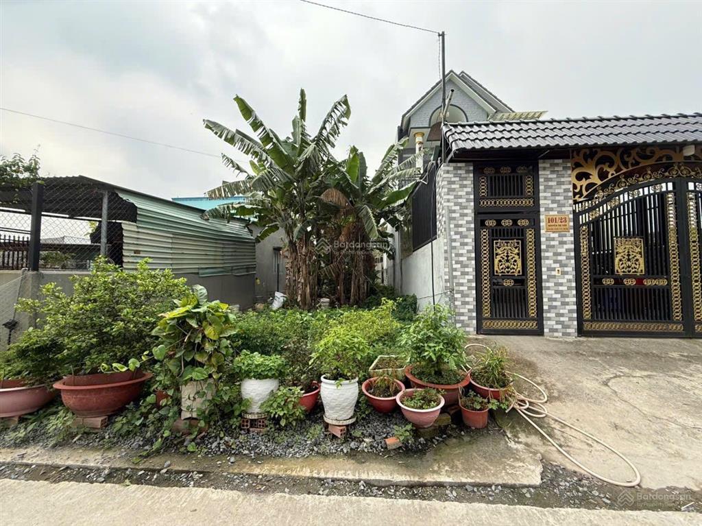 Đất đường nguyễn thị tươi phường tân bình thành phố dĩ an