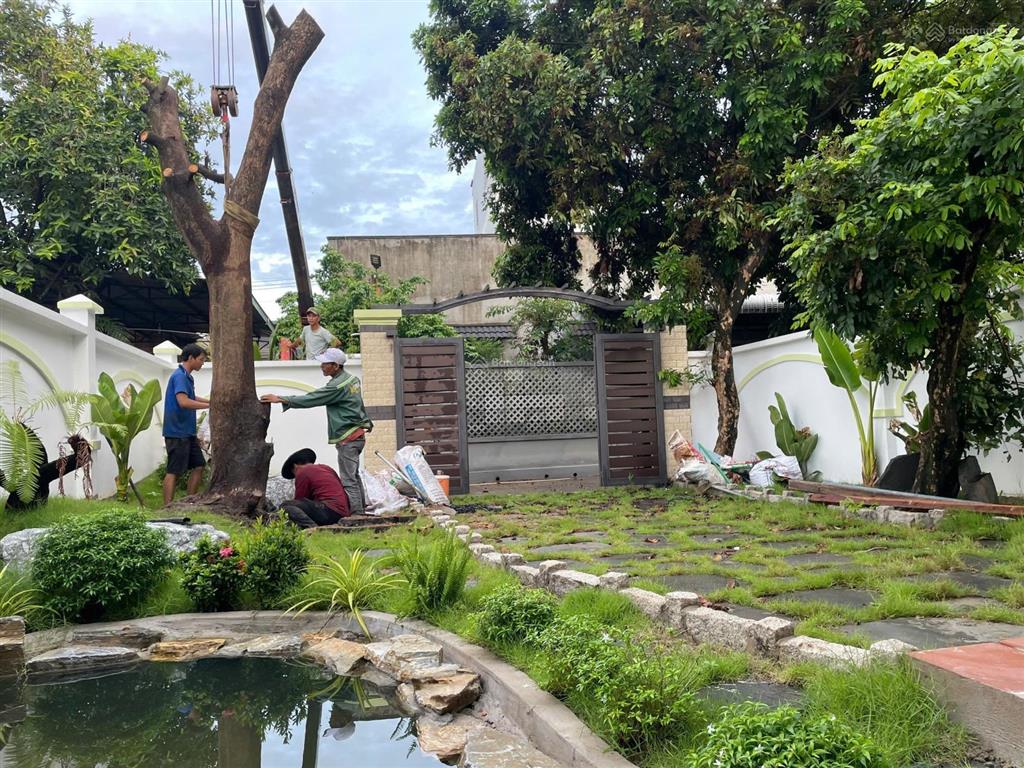 Bán nhà gỗ (8x20m) gần đường nguyễn thị minh khai, p. tân bình, tp. dĩ an