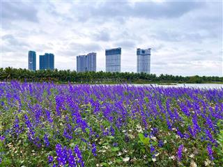 Giá tốt nhất thị trường  bán 1 ngủ , chung cư skyoasis , kđt ecopark giá chỉ 2 tỷ 260