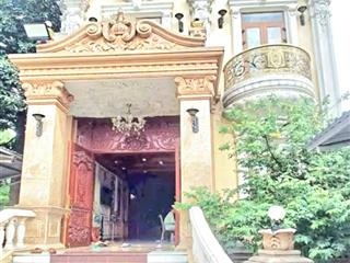 Bán biệt thự mặt tiền sân vườn 5 tầng thang máy cạnh q11, đầm sen, lạc long quân  800m2