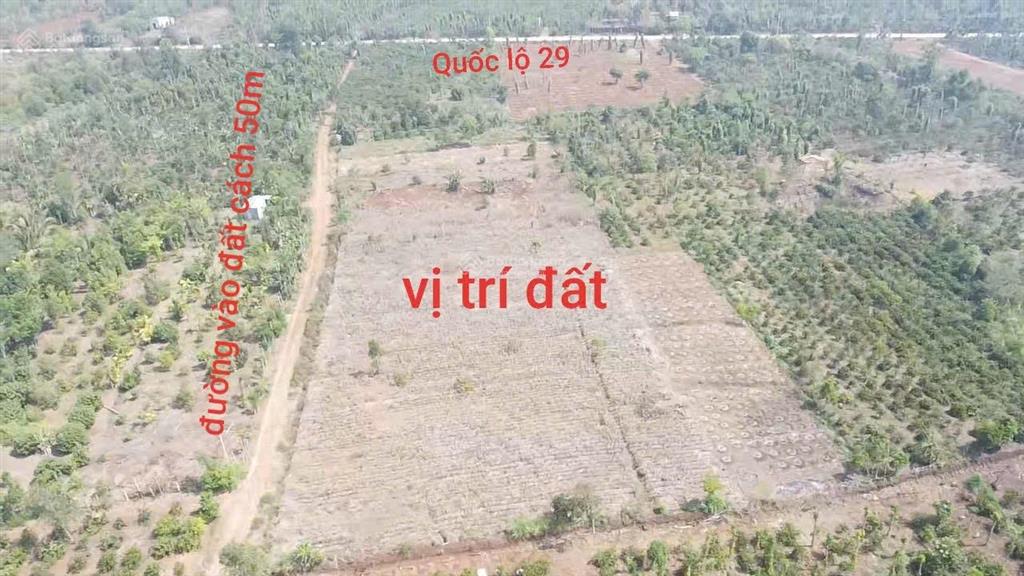 Bán đất xã eadrong  buôn hồ giá chỉ 190 triệu cách quốc lộ 29 chỉ 50m