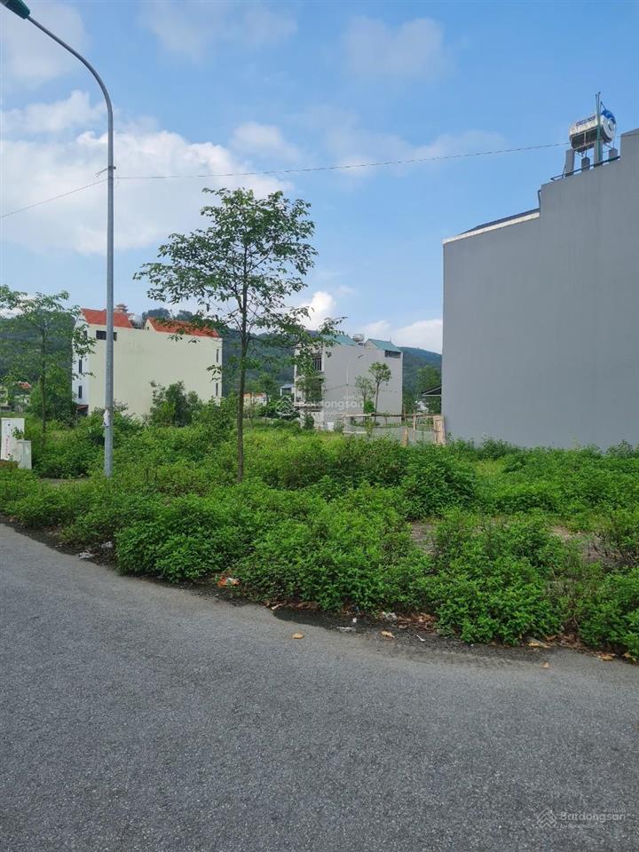 Bán đất kđt lạc phú 1  yên dũng, bắc giang. 99m2, mt 5m. đường 16m. giá 2,4 tỷ