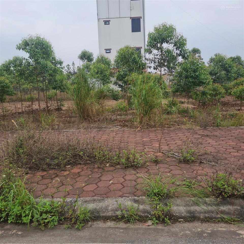 Bán đất đấu giá cẩm lý, lục nam, bắc giang. 90m2 mt 5m. giá 1,4 tỷ